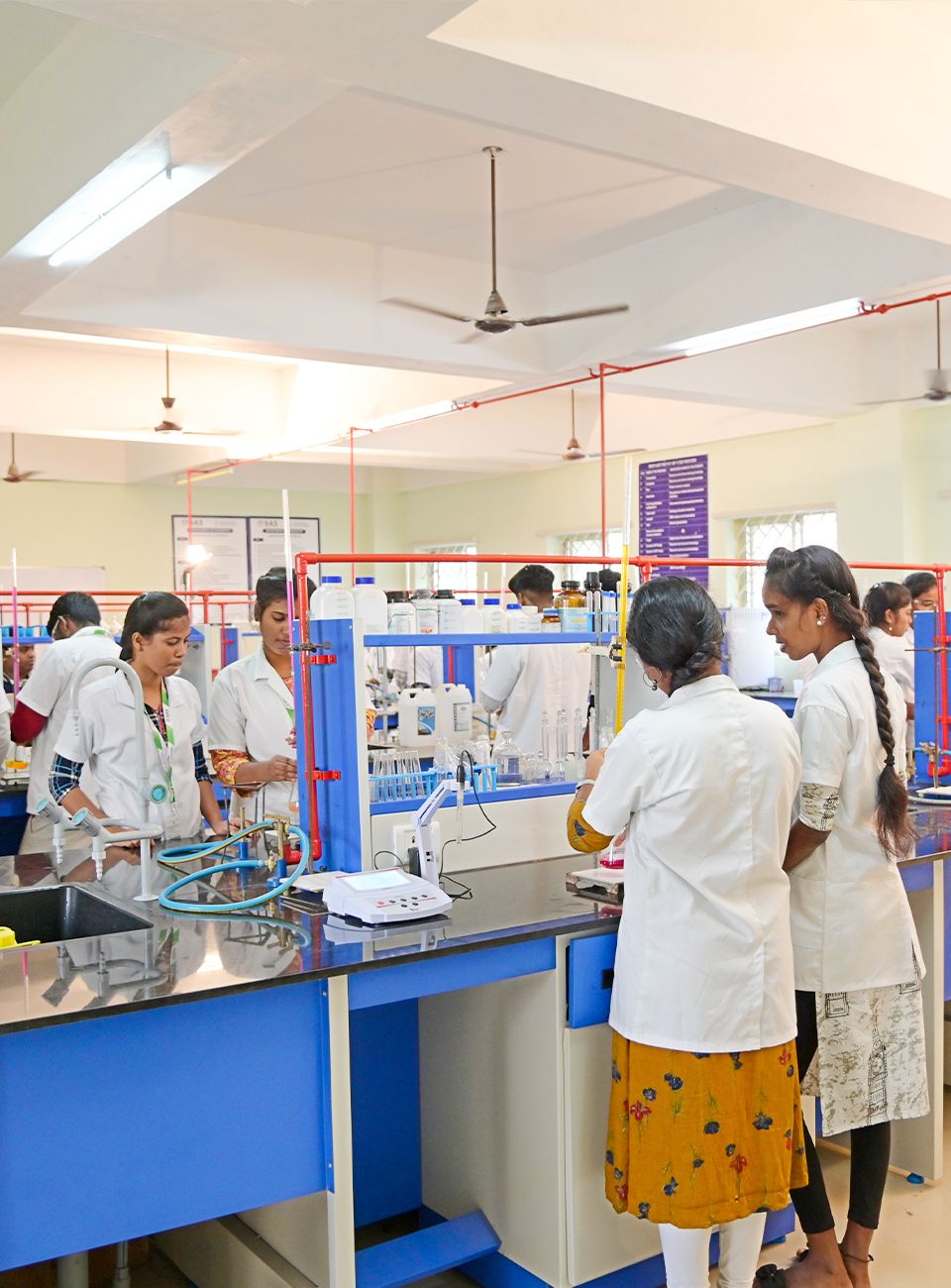 Department of Biomedical Engineering 