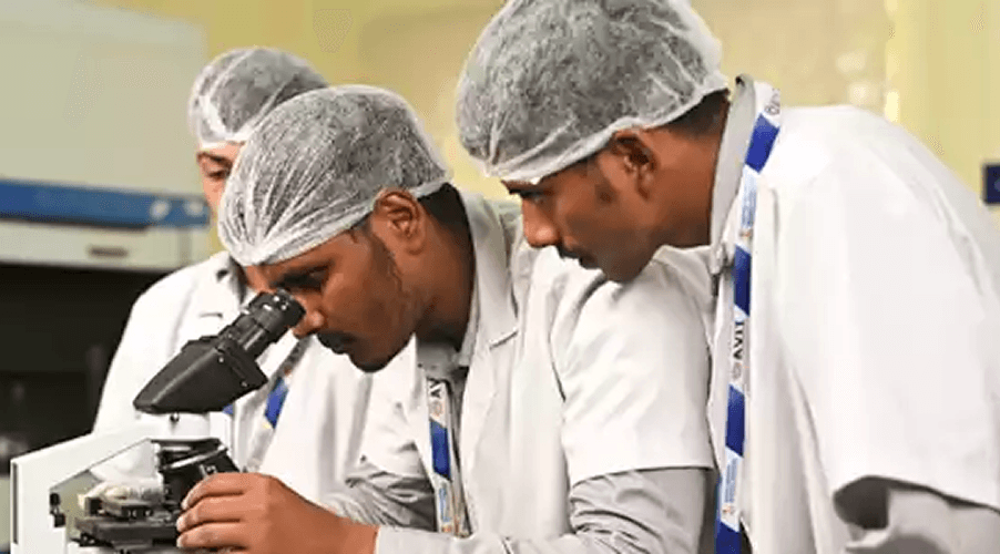 Find Your Path at AVIT